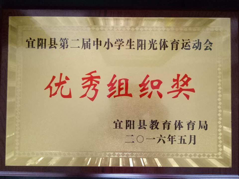2016年宜阳县第二节阳光体育运动优秀组织奖